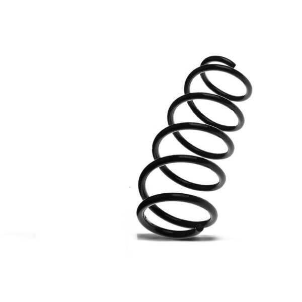 Front Axle Suspension Coil Spring For Skoda Superb VW Passat CC 3C0411105B