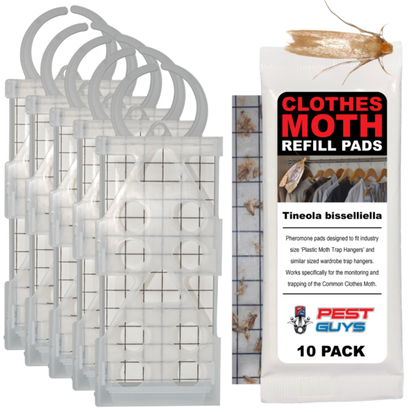 Clothes Moth Genuine Traps Pack with Extra Refill Pad - Effective Moth Control