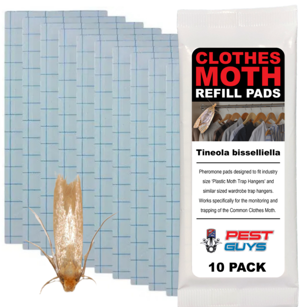 Clothes Moth Genuine Traps Pack with Extra Refill Pad - Effective Moth Control - Image 4