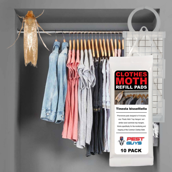 Clothes Moth Genuine Traps Pack with Extra Refill Pad - Effective Moth Control - Image 5